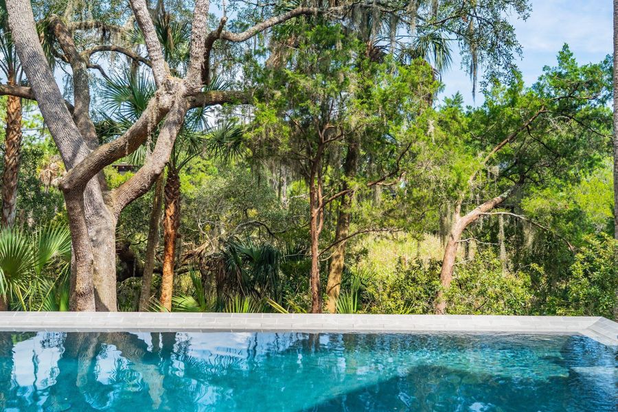 Natural landscape and outdoor views near  in Kiawah Island (Image 76).