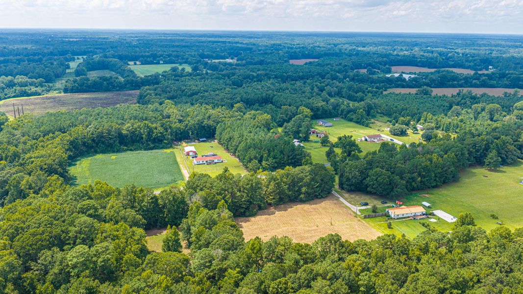 Natural landscape and outdoor views near  in Holly Hill (Image 62).