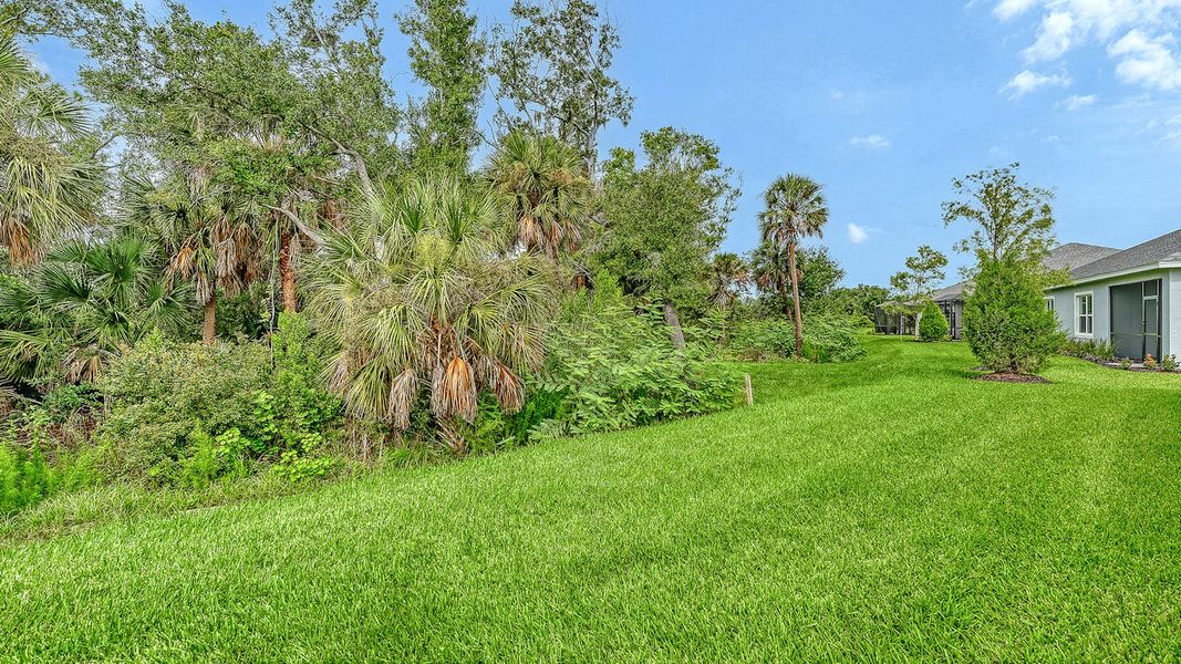 Natural landscape and outdoor views near Wildleaf Real Estate and Homes for Sale in Parrish, FL - Neal Communities in Parrish (Image 34). Natural landscape and outdoor views near Wildleaf Real Estate and Homes for Sale in Parrish, FL - Neal Communities in Parrish (Image 34).