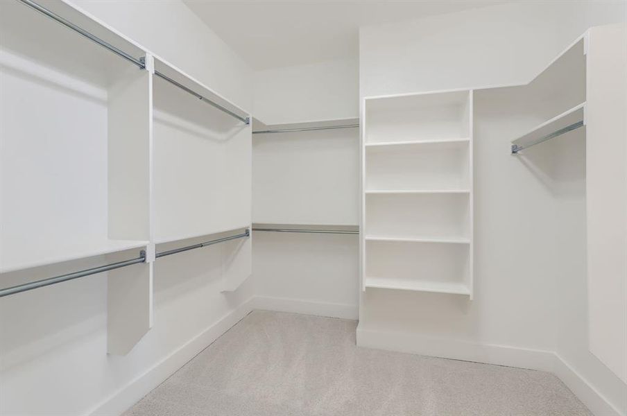 Spacious closet featuring light carpet