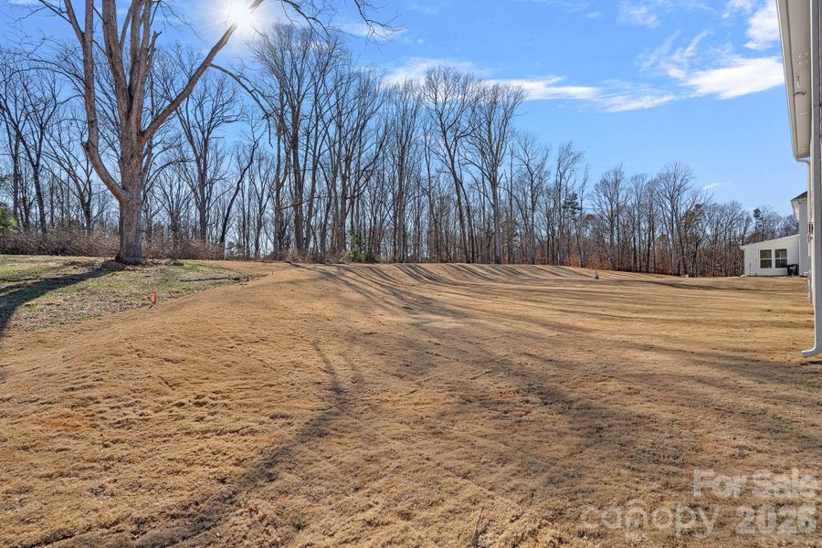 Site preparation for new homesites in , Charlotte (Image 35).