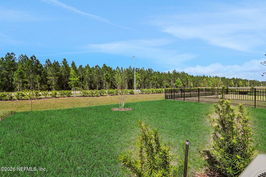 Natural landscape and outdoor views near Amberly in Green Cove Springs (Image 49).