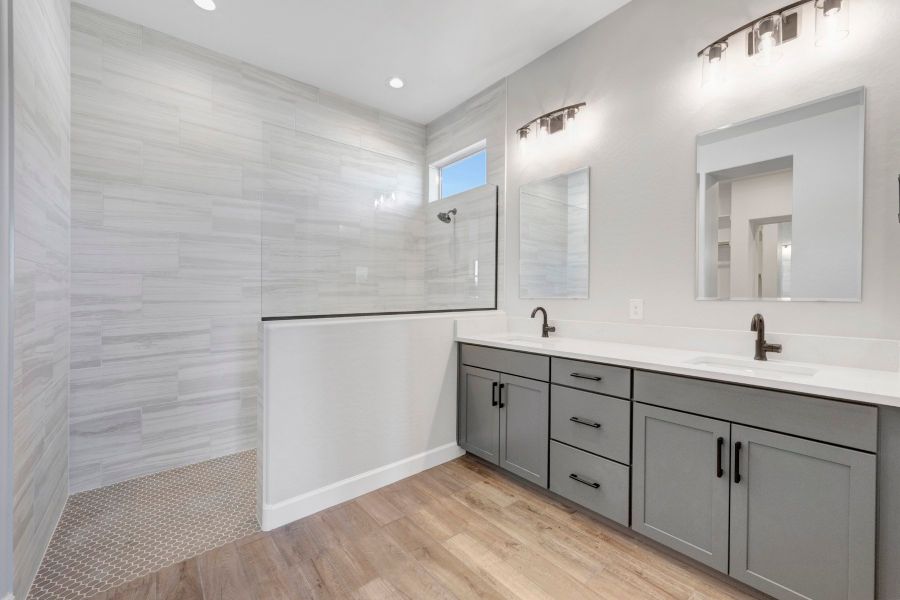 Owner's Bath