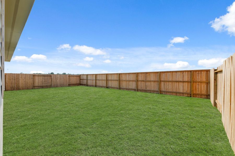 Spacious backyard! Spacious backyard!