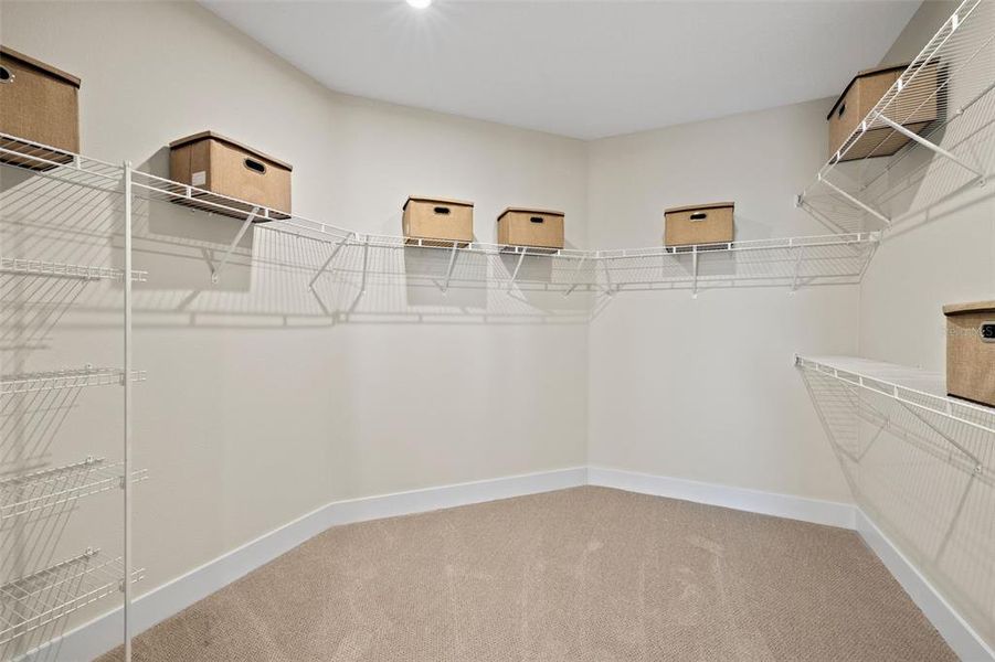 Model Owner's Closet