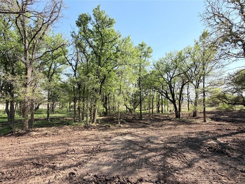 Natural landscape and outdoor views near  in Weatherford (Image 36).