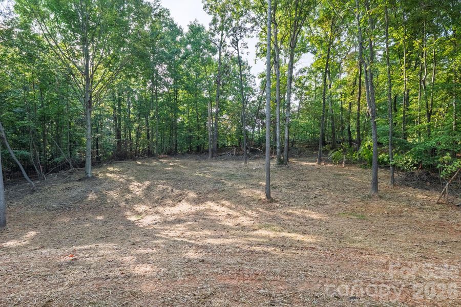 Natural landscape and outdoor views near in Shelby (Image 45). Natural landscape and outdoor views near in Shelby (Image 45).