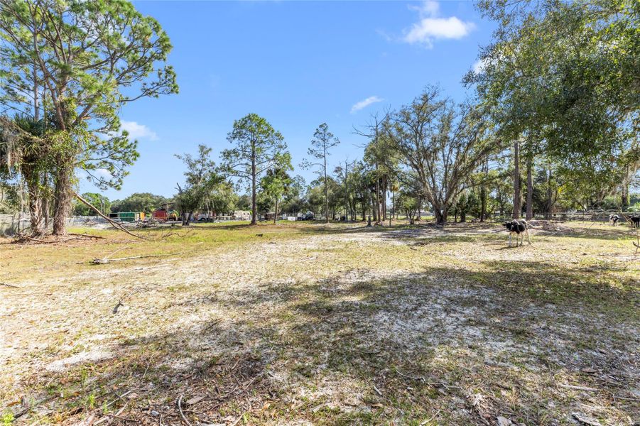 Natural landscape and outdoor views near  in Clewiston (Image 14).