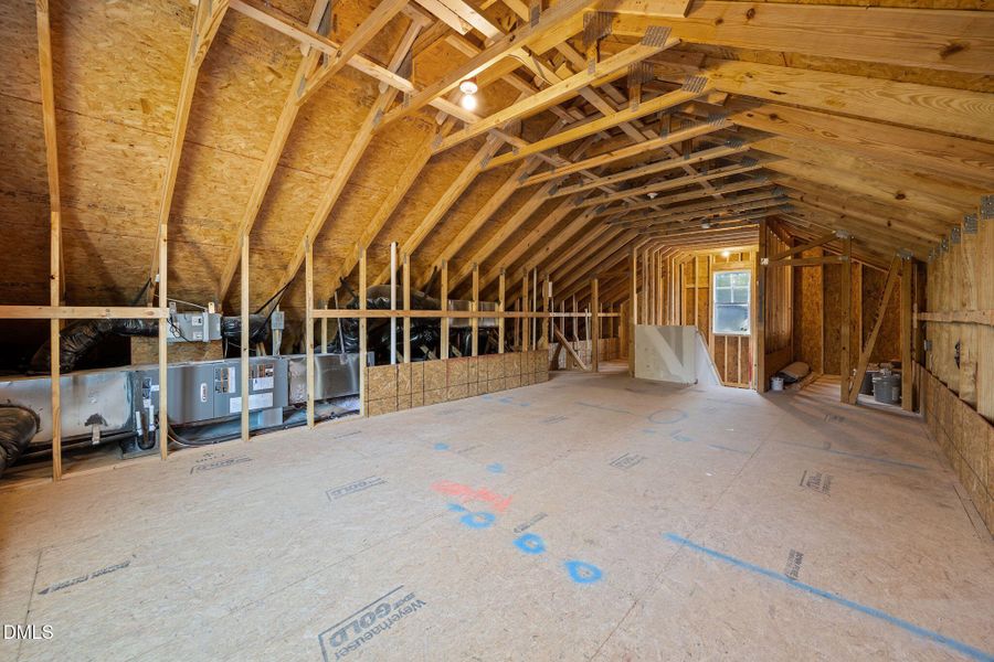 58-web-or-mls-IMG_6909