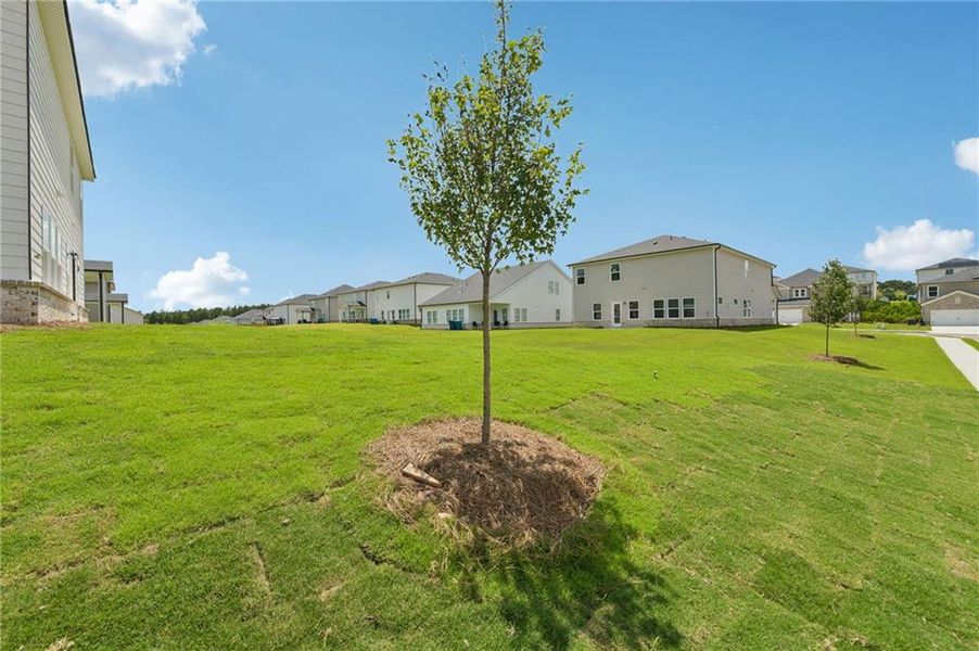 Natural landscape and outdoor views near Parkside at Grayson in Grayson (Image 53).