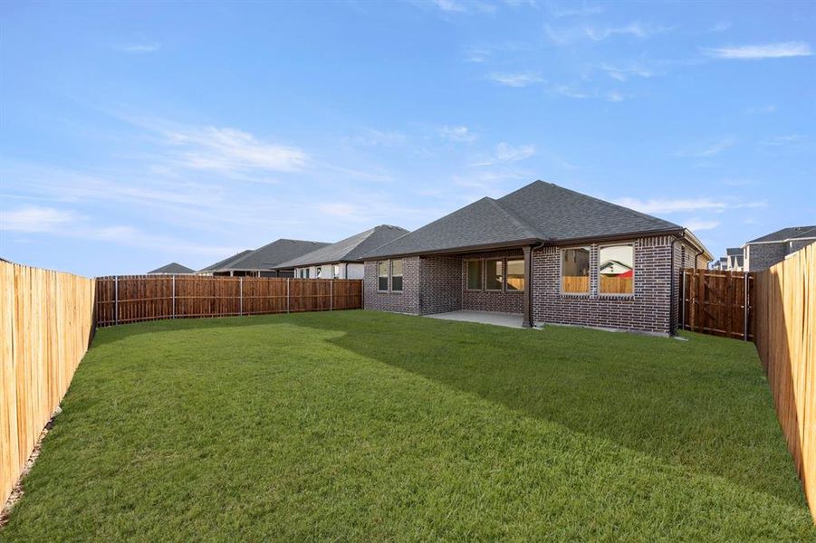 28. 1500 Eagle - Back (2)