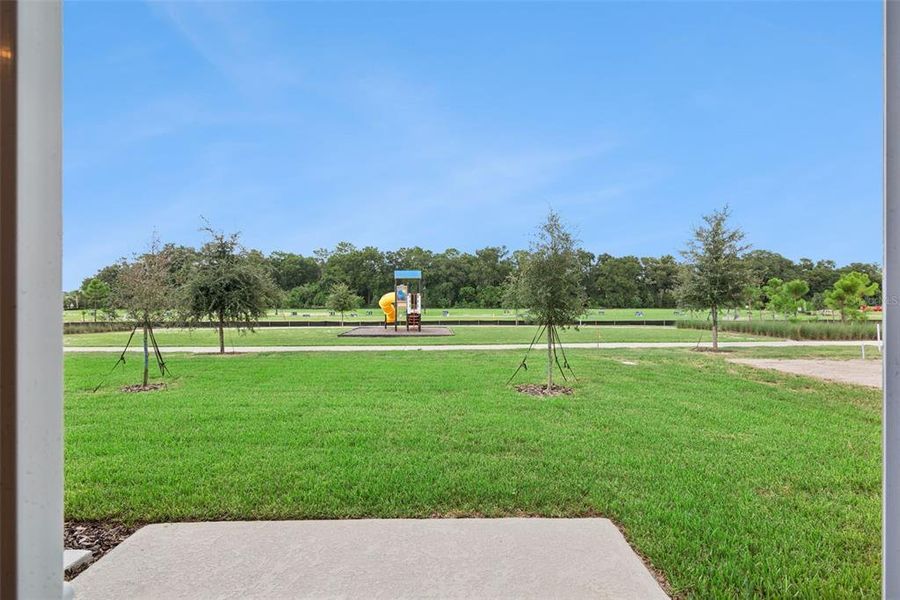Exterior details and patio area of a home in Vineland Reserve, Osteen (Image 17).