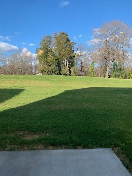 Natural landscape and outdoor views near Royal Pines in Trinity (Image 26).