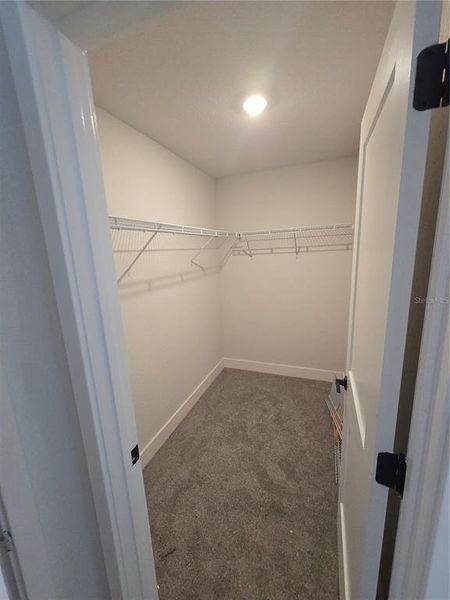 Spacious, unfurnished interior of a new home in , Inverness (Image 18).