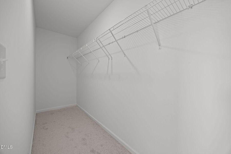 33-web-or-mls-6S8A4069