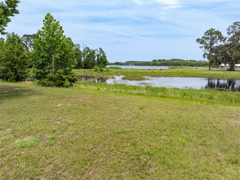 Natural landscape and outdoor views near  in Live Oak (Image 26).