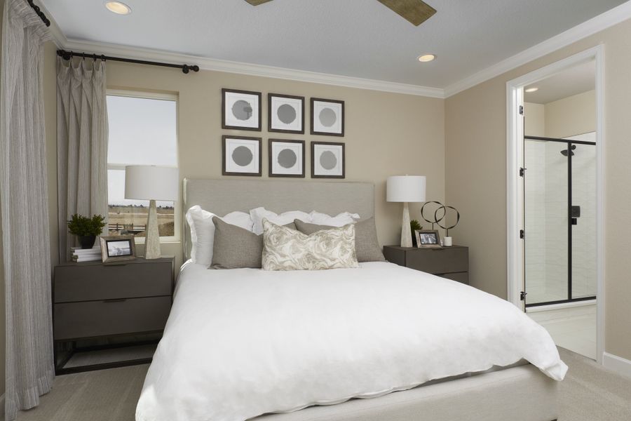 Bronze-R928-PaintBrushHills Bedroom Bronze-R928-PaintBrushHills Bedroom