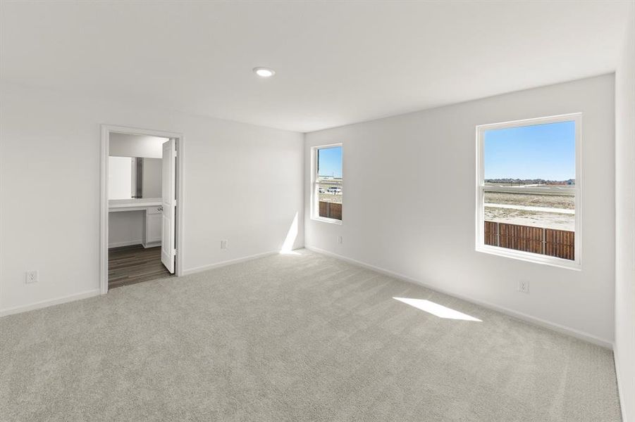 19. 1249 Herring - Primary 19. 1249 Herring - Primary