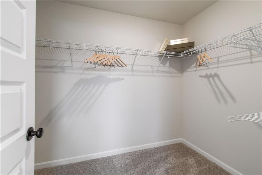 Spacious, unfurnished interior of a new home in Kentmere, Auburn (Image 25).