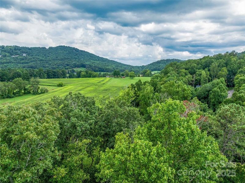 Natural landscape and outdoor views near  in Arden (Image 3).