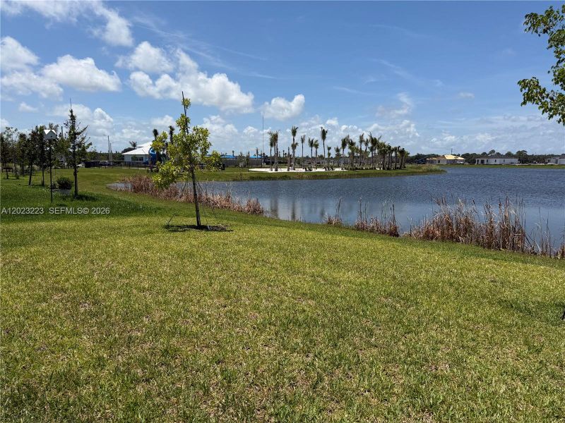 Natural landscape and outdoor views near Seagrove in Fort Pierce (Image 63). Natural landscape and outdoor views near Seagrove in Fort Pierce (Image 63).