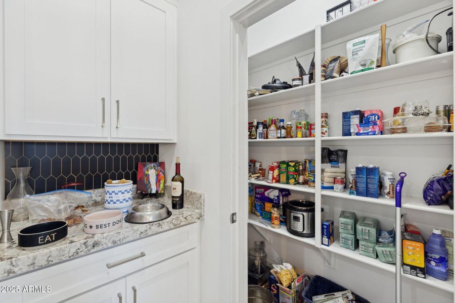 36-web-or-mls-6786-w-palomino-wy 36-web-or-mls-6786-w-palomino-wy