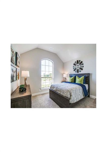 Carpeted bedroom featuring vaulted ceiling