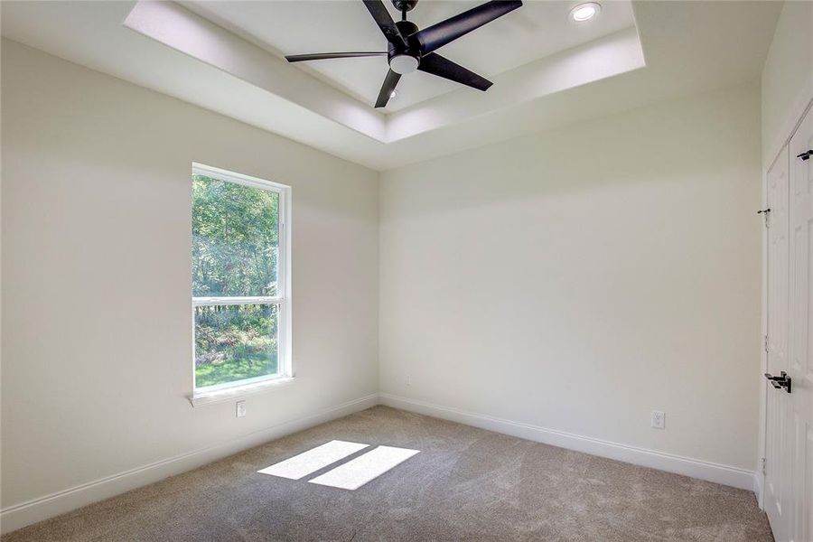 Spare room with healthy amount of natural light, light colored carpet, a raised ceiling, and a ceiling fan Spare room with healthy amount of natural light, light colored carpet, a raised ceiling, and a ceiling fan