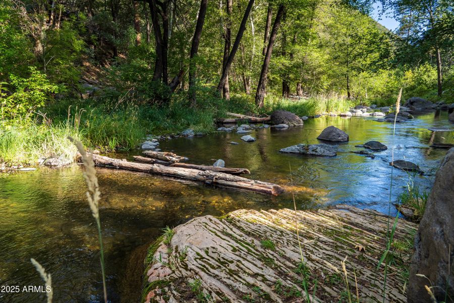 PICNIC ON THE CREEK