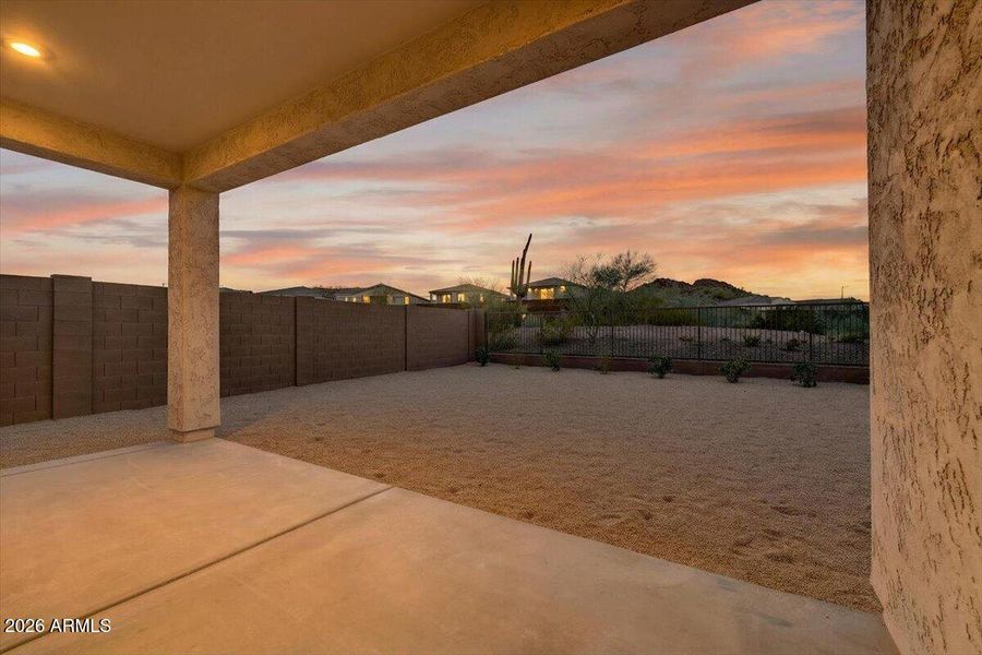 Backyard Twilight Backyard Twilight