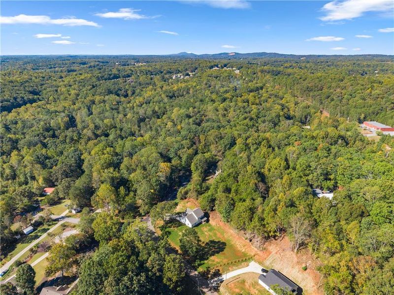 Natural landscape and outdoor views near  in Gainesville (Image 45).