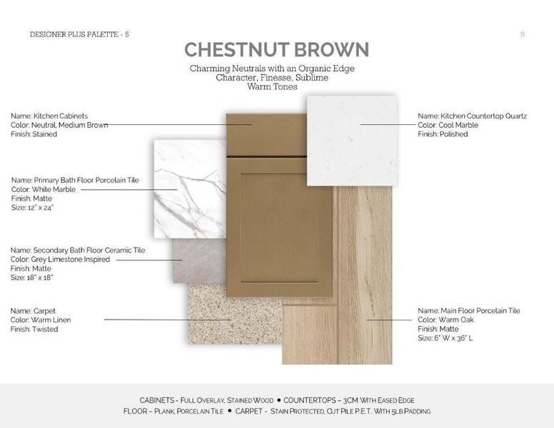 Color Palette for 321 Silver Sands Lane