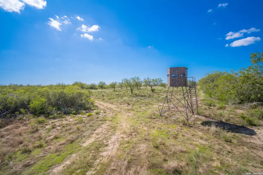 Natural landscape and outdoor views near  in Alice (Image 30).