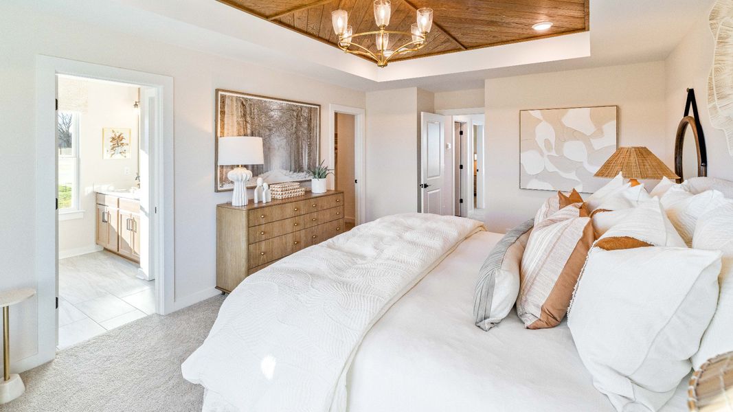 Primary bedroom with accent tray ceiling, windows, and carpet