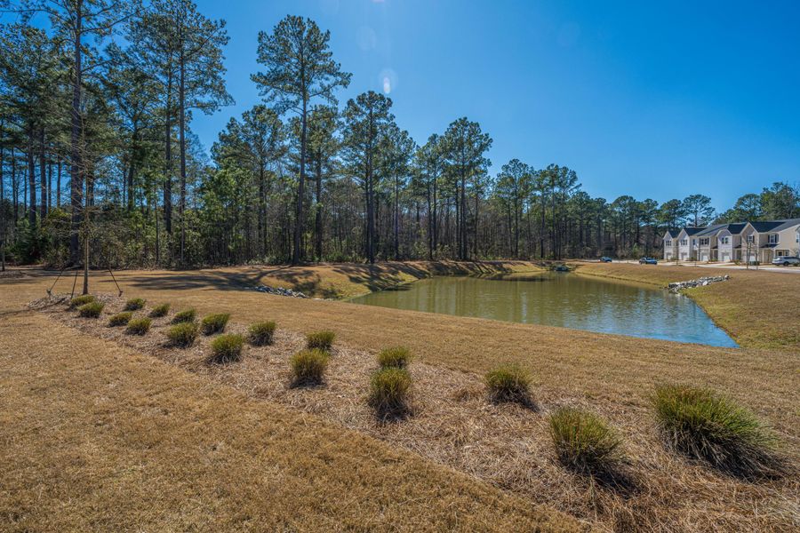 Natural landscape and outdoor views near in Charleston (Image 30). Natural landscape and outdoor views near in Charleston (Image 30).
