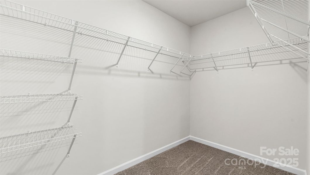 Photos are representative