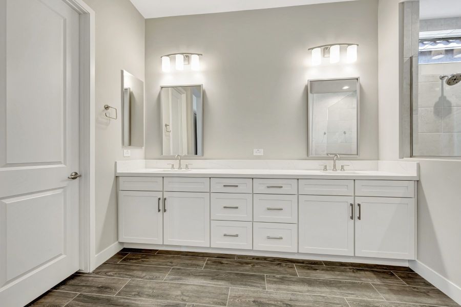 Owner's Bath
