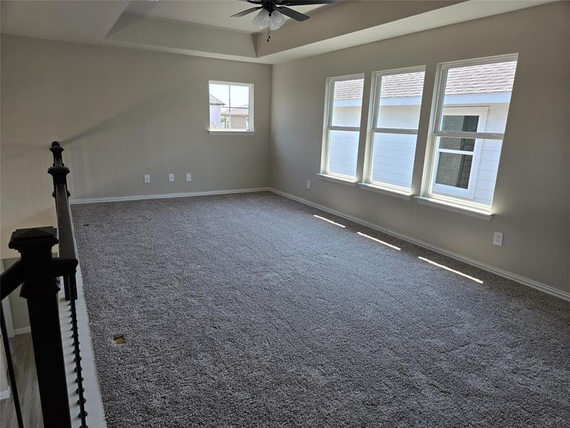 Unfurnished room featuring dark colored carpet, a ceiling fan, and a raised ceiling