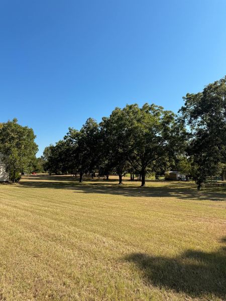 Natural landscape and outdoor views near  in Groesbeck (Image 25).