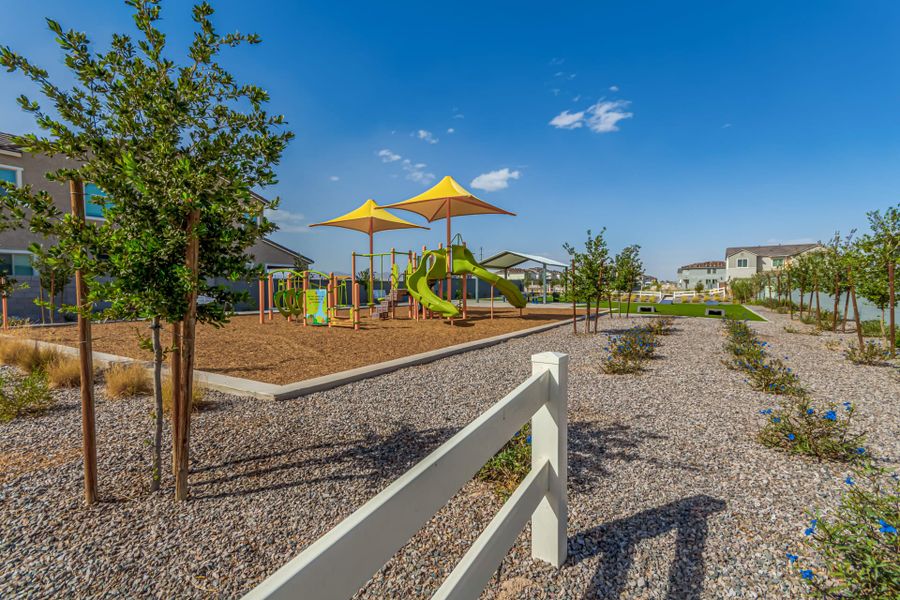 Lot 97 | Florentine | Harvest at Citrus Park | New Homes in Goodyear, AZ | Landsea Homes