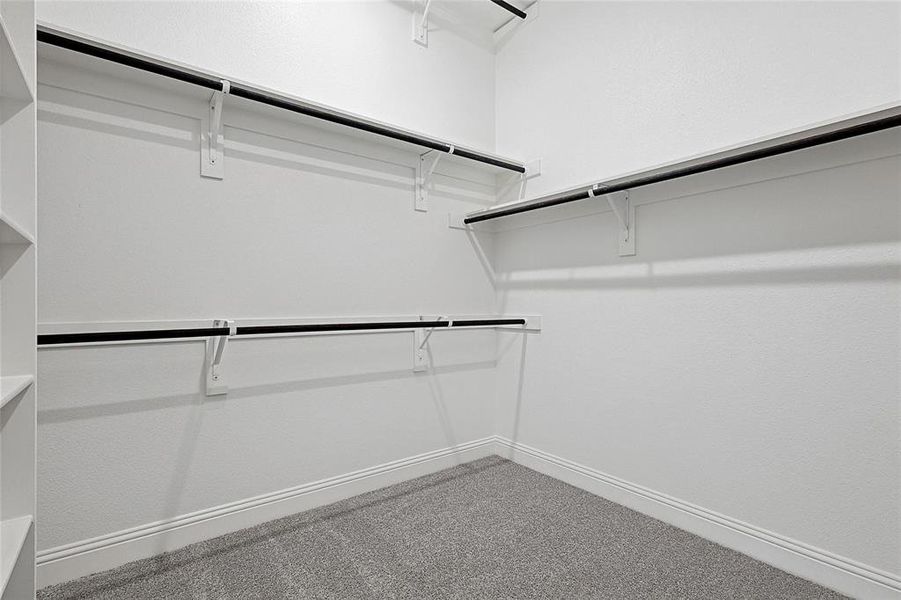 Walk in closet with carpet