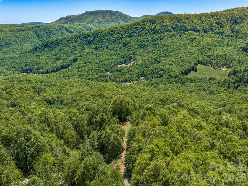 Protected by HOA common land on two sides, this flat homesite offers a rare sense of seclusion. Protected by HOA common land on two sides, this flat homesite offers a rare sense of seclusion.