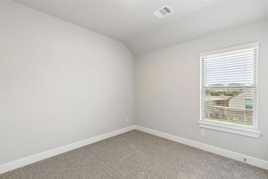 2101 Hazel Lily 2101 Hazel Lily