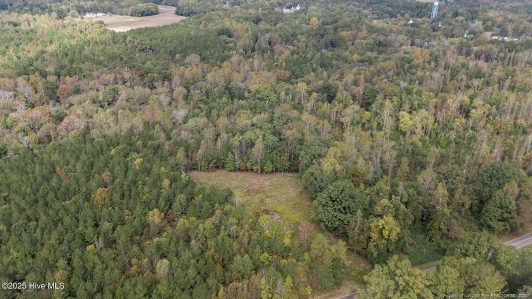 1435 Pineywood Church Road - 9.13 Acres 1435 Pineywood Church Road - 9.13 Acres