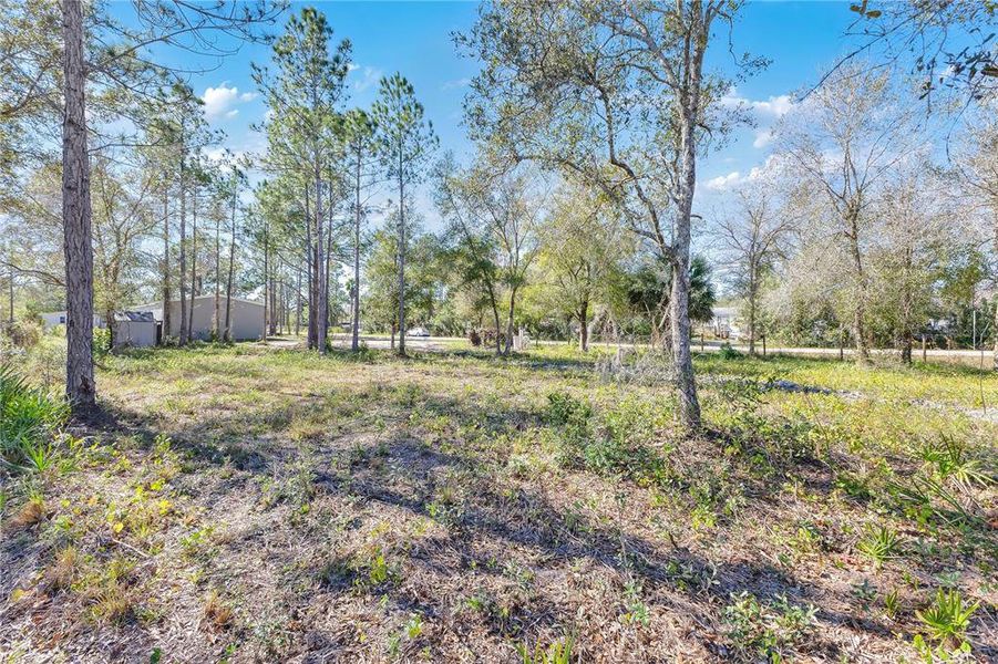 Natural landscape and outdoor views near  in St. Cloud (Image 17).