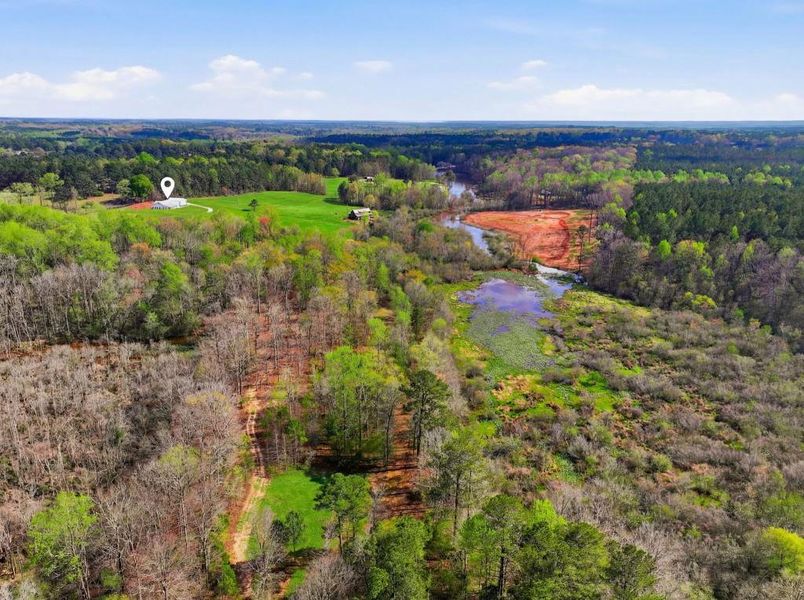 Natural landscape and outdoor views near  in Senoia (Image 113).