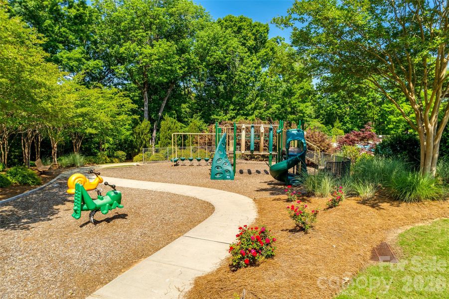 Community amenities in Handsmill on Lake Wylie, York (Image 42).