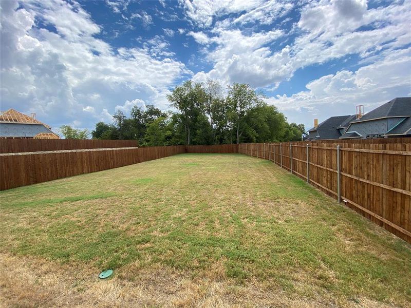 HUGE Private 122 deep back yard with row of large trees behind!