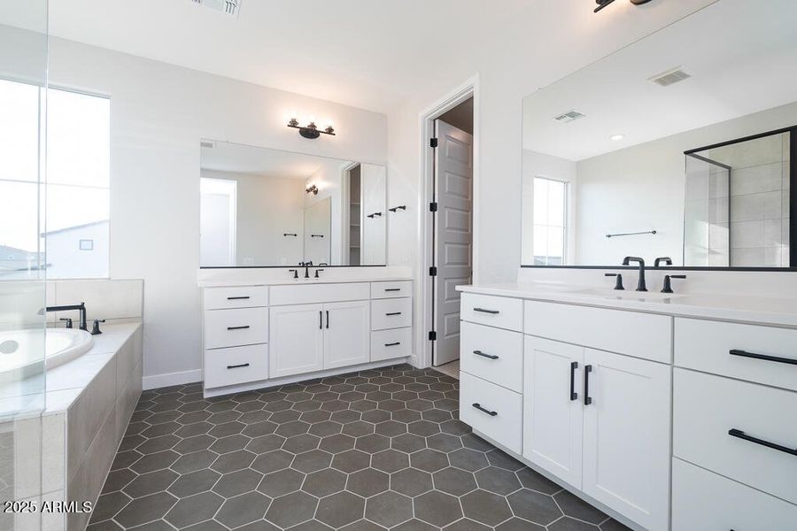 Tri Pointe Waterston Central 301 - Prim