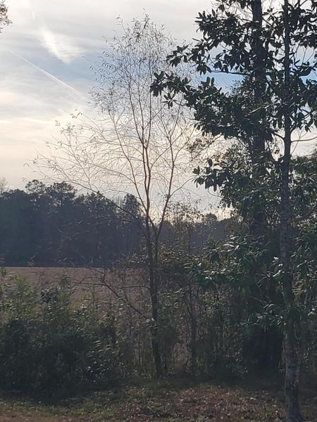 Natural landscape and outdoor views near  in St. George (Image 45).